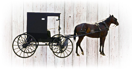 Amish Horse and Buggy Ride