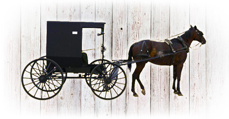 amish country horse and buggy ride